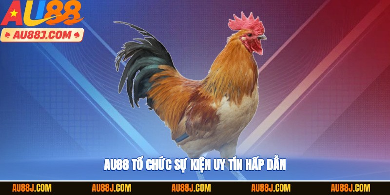 AU88 tổ chức sự kiện uy tín hấp dẫn