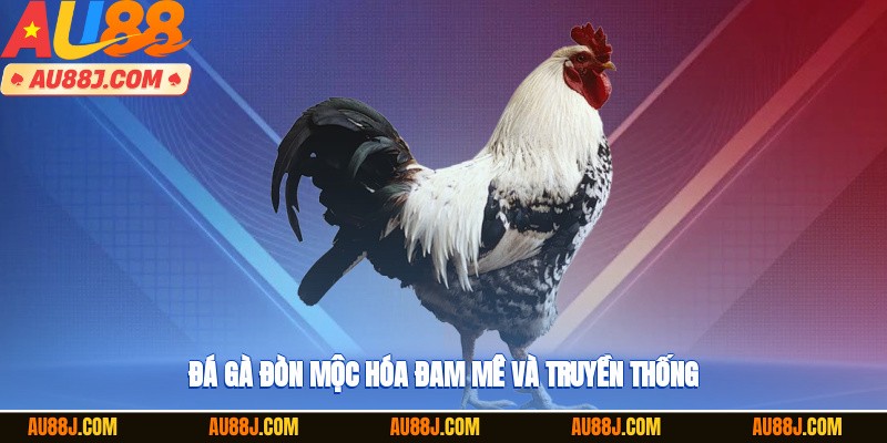 Đá gà đòn Mộc Hóa – đam mê và truyền thống