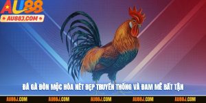 Đá gà đòn Mộc Hóa